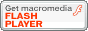 get flash player